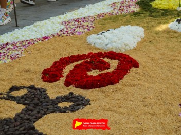 Ковры из цветов в Ситжесе, 2024 / Catifes de flors de Sitges, 2024 / Alfombras de Flores Naturales, Sitges, 2024