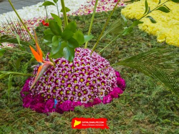 Ковры из цветов в Ситжесе, 2024 / Catifes de flors de Sitges, 2024 / Alfombras de Flores Naturales, Sitges, 2024