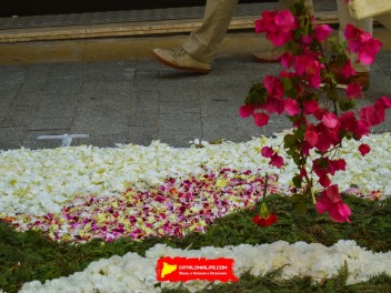Ковры из цветов в Ситжесе, 2024 / Catifes de flors de Sitges, 2024 / Alfombras de Flores Naturales, Sitges, 2024