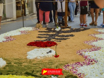 Ковры из цветов в Ситжесе, 2024 / Catifes de flors de Sitges, 2024 / Alfombras de Flores Naturales, Sitges, 2024