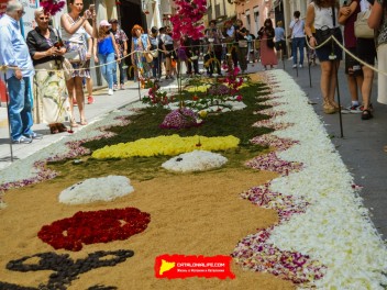 Ковры из цветов в Ситжесе, 2024 / Catifes de flors de Sitges, 2024 / Alfombras de Flores Naturales, Sitges, 2024