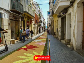 Ковры из цветов в Ситжесе, 2024 / Catifes de flors de Sitges, 2024 / Alfombras de Flores Naturales, Sitges, 2024