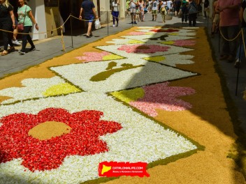 Ковры из цветов в Ситжесе, 2024 / Catifes de flors de Sitges, 2024 / Alfombras de Flores Naturales, Sitges, 2024