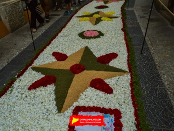 Ковры из цветов в Ситжесе, 2024 / Catifes de flors de Sitges, 2024 / Alfombras de Flores Naturales, Sitges, 2024