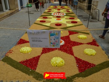 Ковры из цветов в Ситжесе, 2024 / Catifes de flors de Sitges, 2024 / Alfombras de Flores Naturales, Sitges, 2024