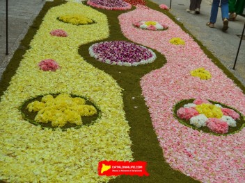 Ковры из цветов в Ситжесе, 2024 / Catifes de flors de Sitges, 2024 / Alfombras de Flores Naturales, Sitges, 2024