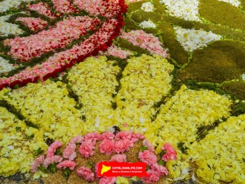 Ковры из цветов в Ситжесе, 2024 / Catifes de flors de Sitges, 2024 / Alfombras de Flores Naturales, Sitges, 2024