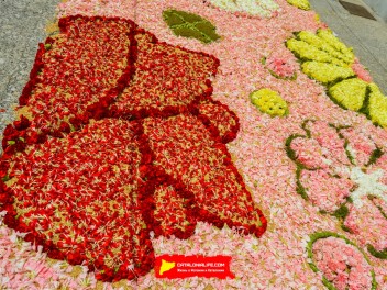 Ковры из цветов в Ситжесе, 2024 / Catifes de flors de Sitges, 2024 / Alfombras de Flores Naturales, Sitges, 2024