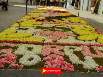 Ковры из цветов в Ситжесе, 2024 / Catifes de flors de Sitges, 2024 / Alfombras de Flores Naturales, Sitges, 2024