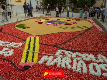 Ковры из цветов в Ситжесе, 2024 / Catifes de flors de Sitges, 2024 / Alfombras de Flores Naturales, Sitges, 2024