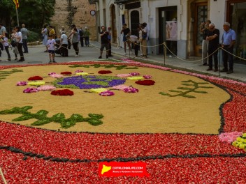 Ковры из цветов в Ситжесе, 2024 / Catifes de flors de Sitges, 2024 / Alfombras de Flores Naturales, Sitges, 2024