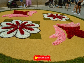 Ковры из цветов в Ситжесе, 2024 / Catifes de flors de Sitges, 2024 / Alfombras de Flores Naturales, Sitges, 2024