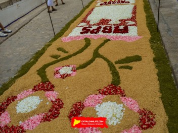 Ковры из цветов в Ситжесе, 2024 / Catifes de flors de Sitges, 2024 / Alfombras de Flores Naturales, Sitges, 2024