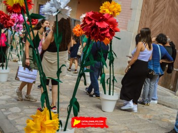 Ковры из цветов в Ситжесе, 2024 / Catifes de flors de Sitges, 2024 / Alfombras de Flores Naturales, Sitges, 2024