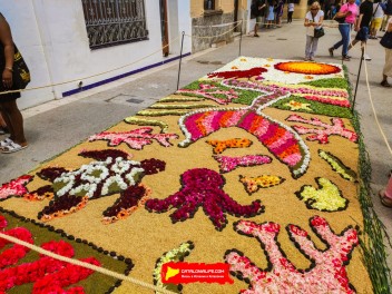 Ковры из цветов в Ситжесе, 2024 / Catifes de flors de Sitges, 2024 / Alfombras de Flores Naturales, Sitges, 2024