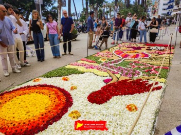 Ковры из цветов в Ситжесе, 2024 / Catifes de flors de Sitges, 2024 / Alfombras de Flores Naturales, Sitges, 2024