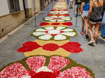 Ковры из цветов в Ситжесе, 2024 / Catifes de flors de Sitges, 2024 / Alfombras de Flores Naturales, Sitges, 2024