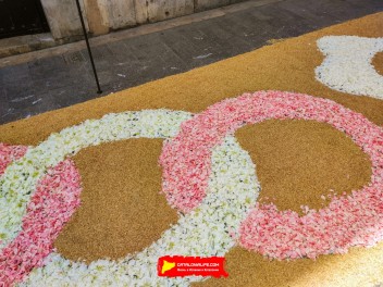 Ковры из цветов в Ситжесе, 2024 / Catifes de flors de Sitges, 2024 / Alfombras de Flores Naturales, Sitges, 2024