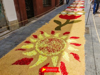 Ковры из цветов в Ситжесе, 2024 / Catifes de flors de Sitges, 2024 / Alfombras de Flores Naturales, Sitges, 2024