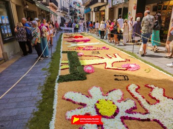 Ковры из цветов в Ситжесе, 2024 / Catifes de flors de Sitges, 2024 / Alfombras de Flores Naturales, Sitges, 2024
