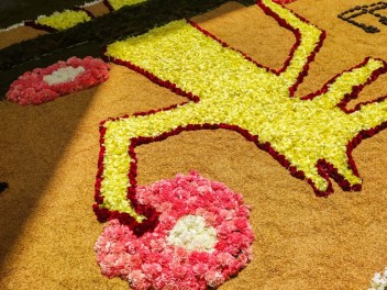 Ковры из цветов в Ситжесе, 2024 / Catifes de flors de Sitges, 2024 / Alfombras de Flores Naturales, Sitges, 2024