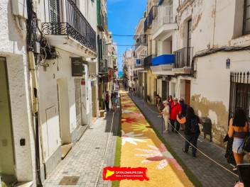 Ковры из цветов в Ситжесе, 2024 / Catifes de flors de Sitges, 2024 / Alfombras de Flores Naturales, Sitges, 2024