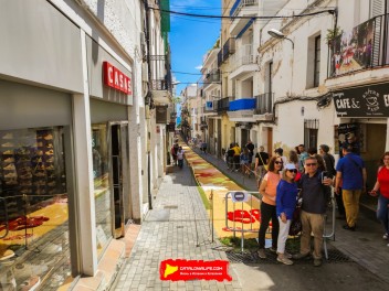 Ковры из цветов в Ситжесе, 2024 / Catifes de flors de Sitges, 2024 / Alfombras de Flores Naturales, Sitges, 2024