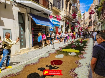 Ковры из цветов в Ситжесе, 2024 / Catifes de flors de Sitges, 2024 / Alfombras de Flores Naturales, Sitges, 2024