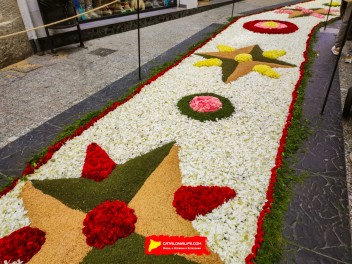 Ковры из цветов в Ситжесе, 2024 / Catifes de flors de Sitges, 2024 / Alfombras de Flores Naturales, Sitges, 2024