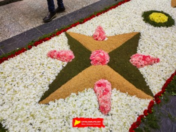 Ковры из цветов в Ситжесе, 2024 / Catifes de flors de Sitges, 2024 / Alfombras de Flores Naturales, Sitges, 2024