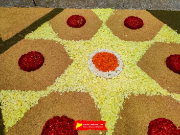 Ковры из цветов в Ситжесе, 2024 / Catifes de flors de Sitges, 2024 / Alfombras de Flores Naturales, Sitges, 2024
