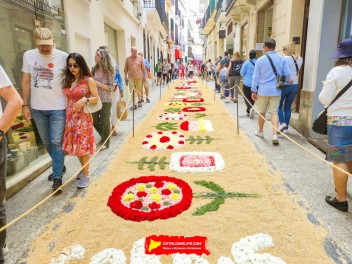 Ковры из цветов в Ситжесе, 2024 / Catifes de flors de Sitges, 2024 / Alfombras de Flores Naturales, Sitges, 2024