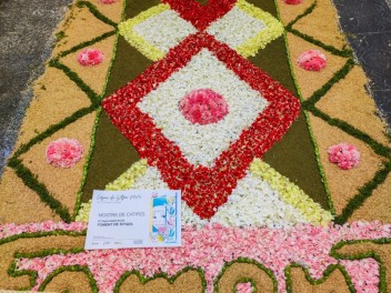 Ковры из цветов в Ситжесе, 2024 / Catifes de flors de Sitges, 2024 / Alfombras de Flores Naturales, Sitges, 2024