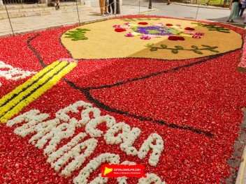 Ковры из цветов в Ситжесе, 2024 / Catifes de flors de Sitges, 2024 / Alfombras de Flores Naturales, Sitges, 2024
