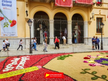 Ковры из цветов в Ситжесе, 2024 / Catifes de flors de Sitges, 2024 / Alfombras de Flores Naturales, Sitges, 2024
