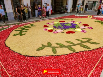 Ковры из цветов в Ситжесе, 2024 / Catifes de flors de Sitges, 2024 / Alfombras de Flores Naturales, Sitges, 2024