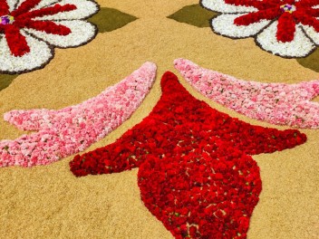 Ковры из цветов в Ситжесе, 2024 / Catifes de flors de Sitges, 2024 / Alfombras de Flores Naturales, Sitges, 2024