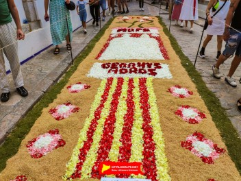 Ковры из цветов в Ситжесе, 2024 / Catifes de flors de Sitges, 2024 / Alfombras de Flores Naturales, Sitges, 2024