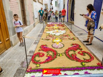 Ковры из цветов в Ситжесе, 2024 / Catifes de flors de Sitges, 2024 / Alfombras de Flores Naturales, Sitges, 2024