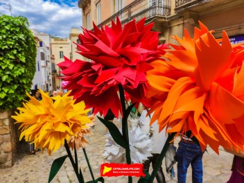 Ковры из цветов в Ситжесе, 2024 / Catifes de flors de Sitges, 2024 / Alfombras de Flores Naturales, Sitges, 2024