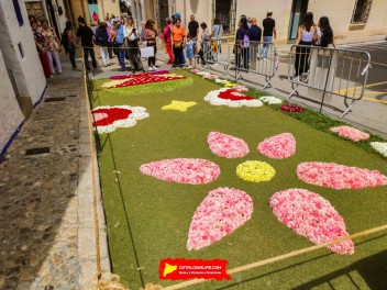 Ковры из цветов в Ситжесе, 2024 / Catifes de flors de Sitges, 2024 / Alfombras de Flores Naturales, Sitges, 2024