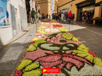 Ковры из цветов в Ситжесе, 2024 / Catifes de flors de Sitges, 2024 / Alfombras de Flores Naturales, Sitges, 2024