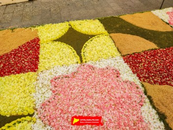 Ковры из цветов в Ситжесе, 2024 / Catifes de flors de Sitges, 2024 / Alfombras de Flores Naturales, Sitges, 2024