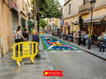 Ковры из цветов в Бланесе, 2024 / Catifes de flors de Blanes, 2024 / Alfombras de Flores Naturales, Blanes, 2024