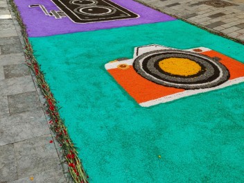 Ковры из цветов в Бланесе, 2024 / Catifes de flors de Blanes, 2024 / Alfombras de Flores Naturales, Blanes, 2024