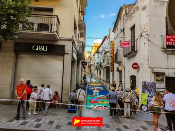 Ковры из цветов в Бланесе, 2024 / Catifes de flors de Blanes, 2024 / Alfombras de Flores Naturales, Blanes, 2024