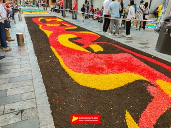 Ковры из цветов в Бланесе, 2024 / Catifes de flors de Blanes, 2024 / Alfombras de Flores Naturales, Blanes, 2024