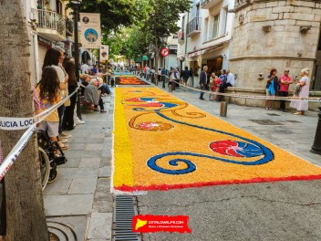 Ковры из цветов в Бланесе, 2024 / Catifes de flors de Blanes, 2024 / Alfombras de Flores Naturales, Blanes, 2024