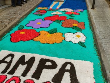 Ковры из цветов в Бланесе, 2024 / Catifes de flors de Blanes, 2024 / Alfombras de Flores Naturales, Blanes, 2024