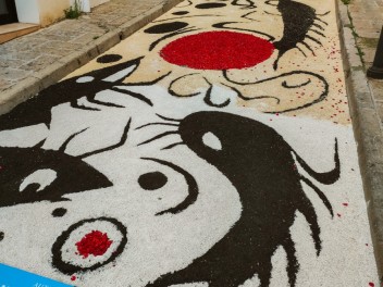 Ковры из цветов в Бланесе, 2024 / Catifes de flors de Blanes, 2024 / Alfombras de Flores Naturales, Blanes, 2024